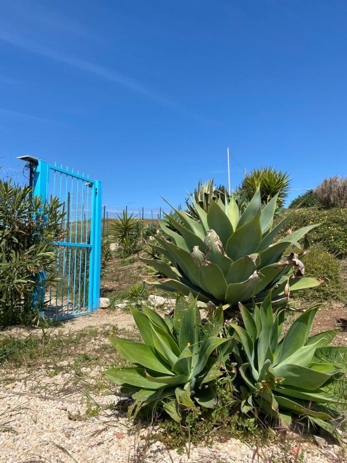 Casa Collis Lägenhet San Leone Exteriör bild